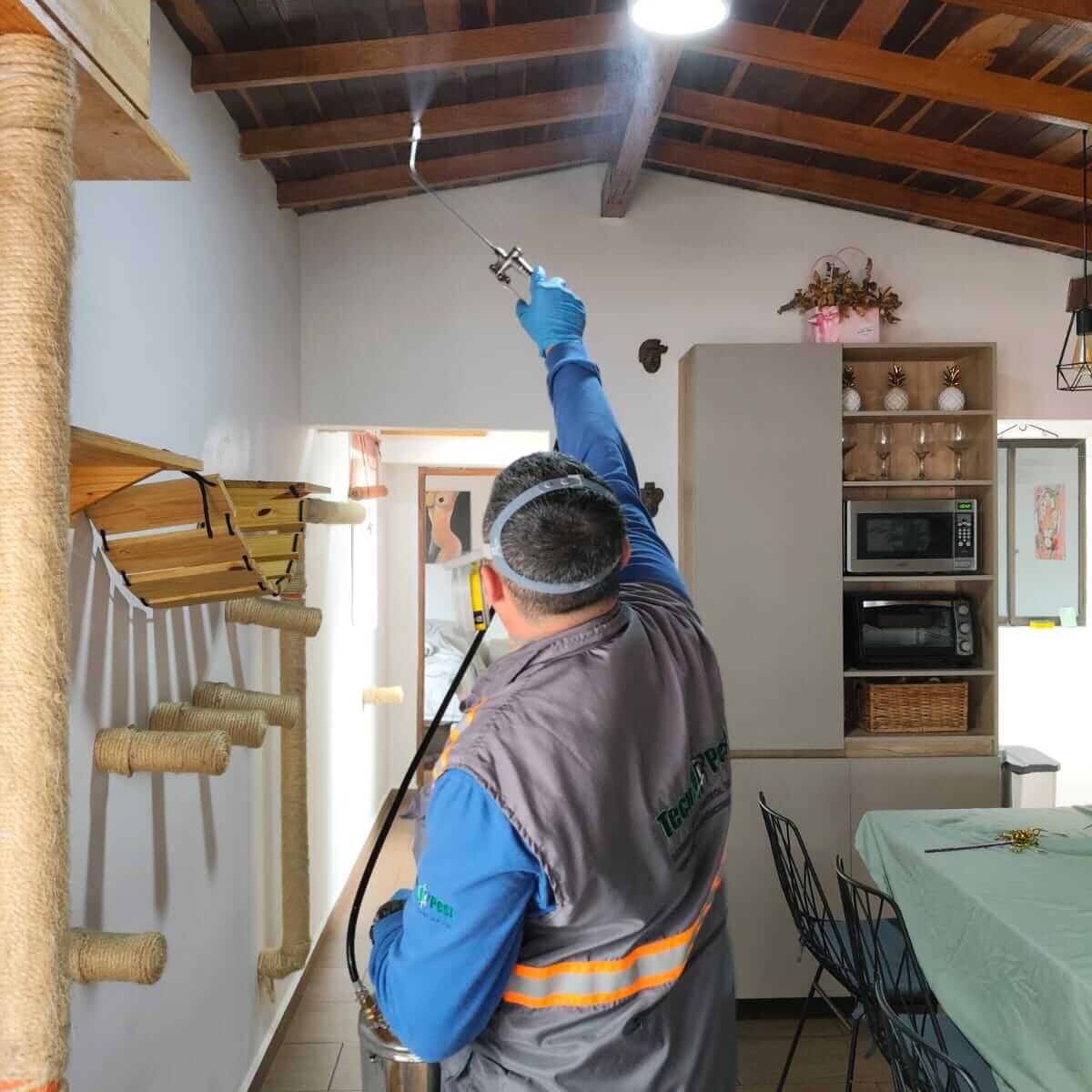 nosotos (1) nosotos (1)