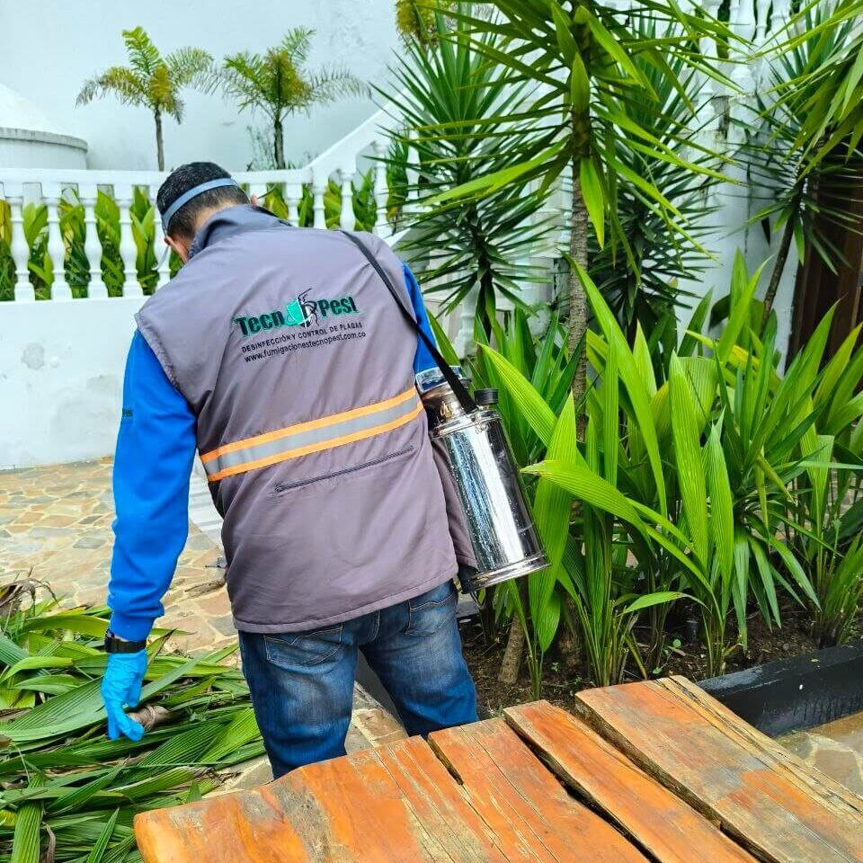 nosotos (3) nosotos (3)